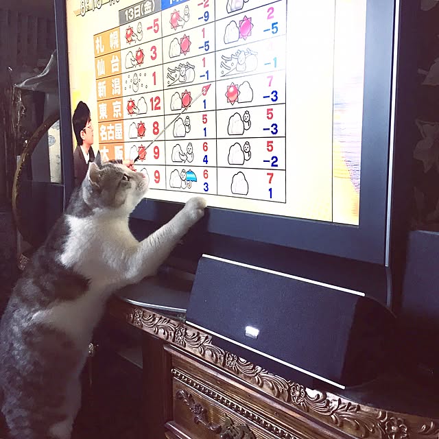 emmyyさんの実例写真