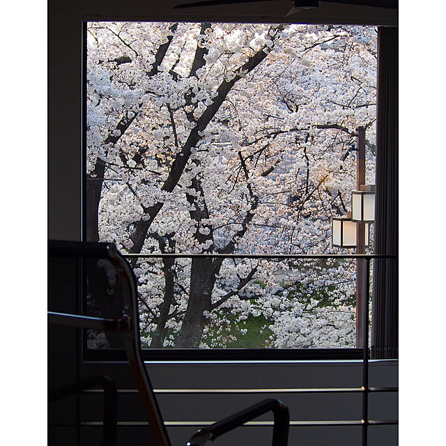 Noboさんの実例写真