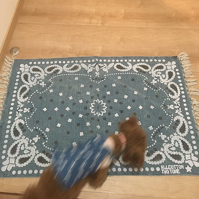 aaaairiさんの実例写真