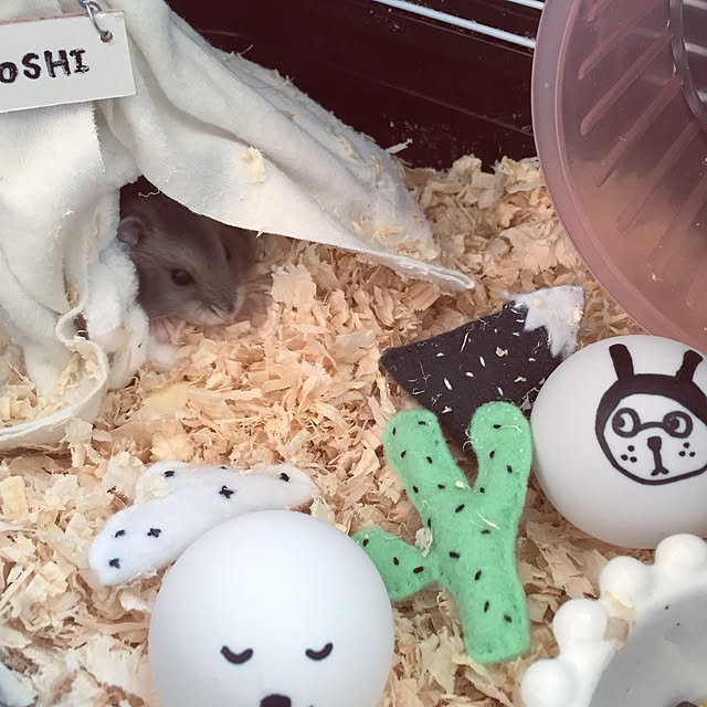 chiiiii0808さんの実例写真