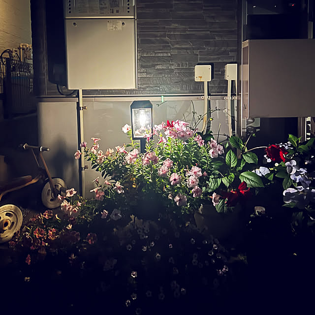 coraruさんの部屋