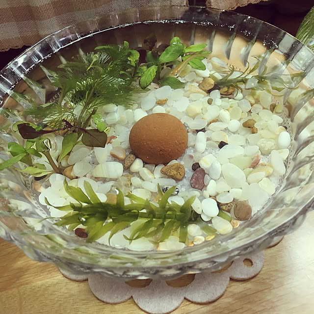 zuborararaさんの実例写真