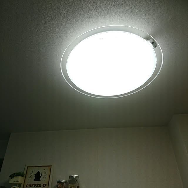 todorinkoさんの実例写真