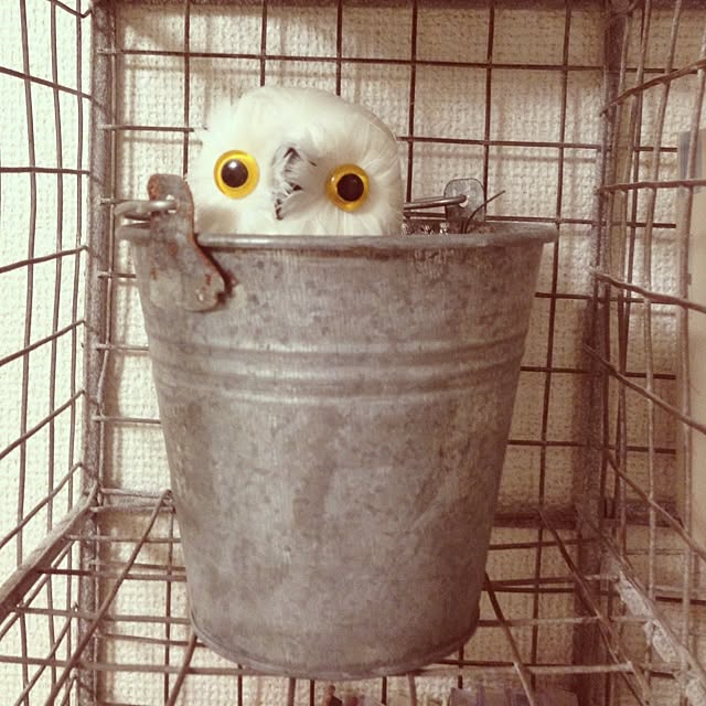 pekoさんの実例写真