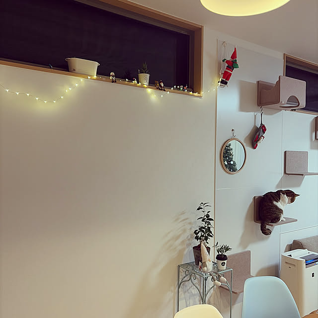 tiroさんの実例写真