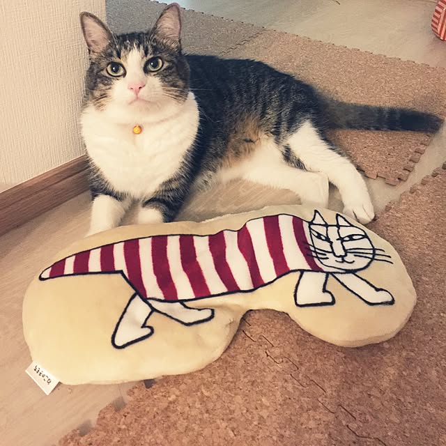 miruさんの実例写真