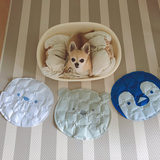Emiさんの実例写真