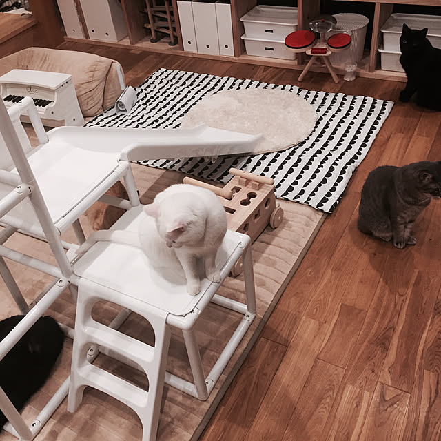 Chuppeetaさんの実例写真