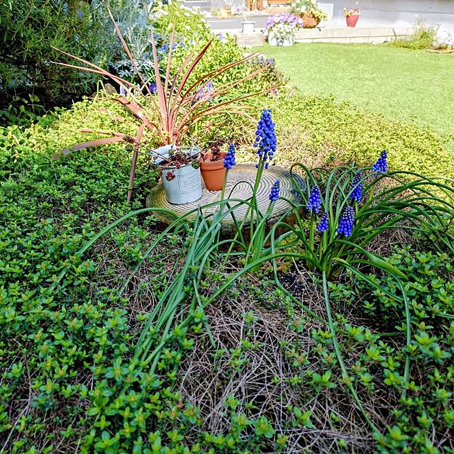 coconathuさんの実例写真