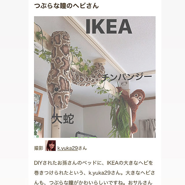 k.yuka29さんの実例写真