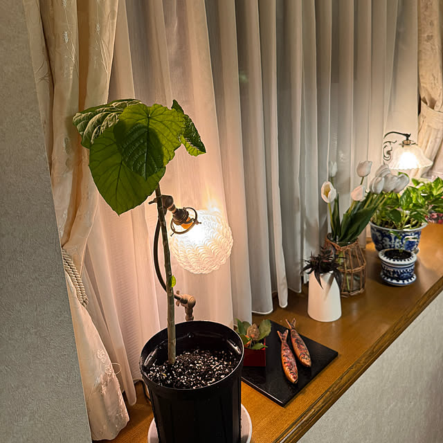 mamizaさんの部屋