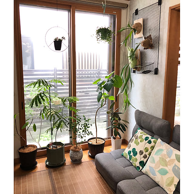 CoffeeHouseさんの部屋
