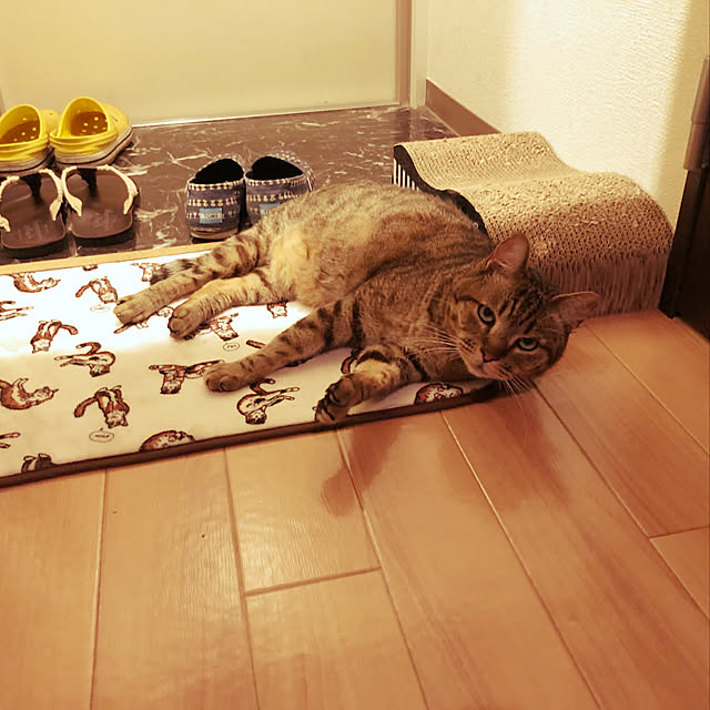 NGK_411さんの実例写真