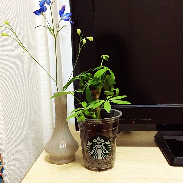 miaco011さんの実例写真