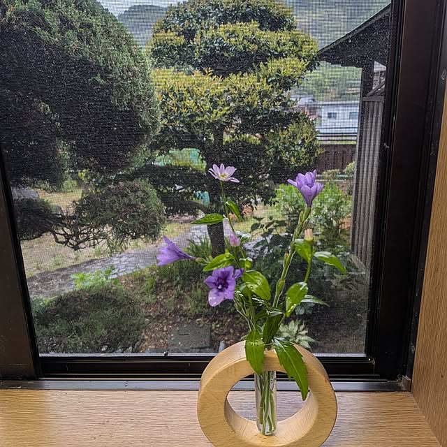 kuririnmamaさんの部屋