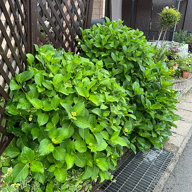 ritsukoさんの実例写真