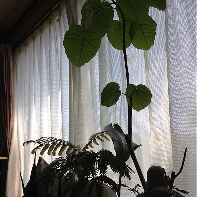 aronさんの実例写真
