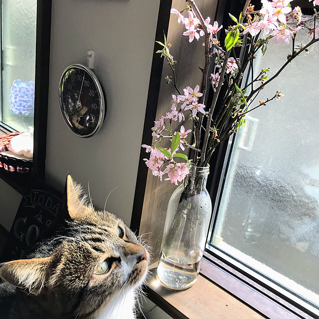 na-sanさんの実例写真