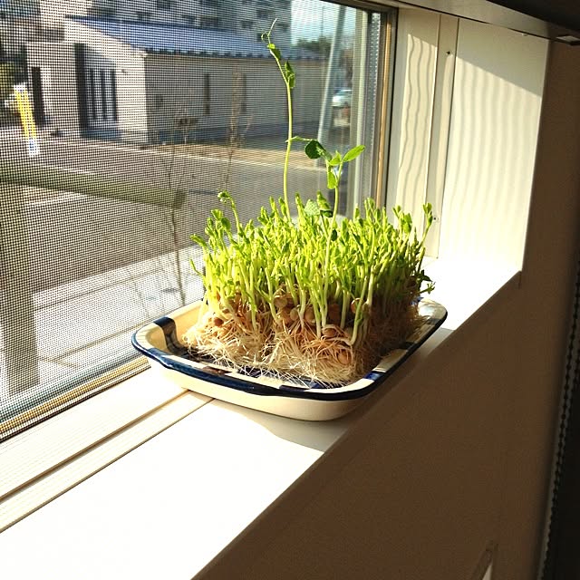 yotsubaさんの実例写真