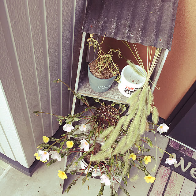 carbellさんの実例写真