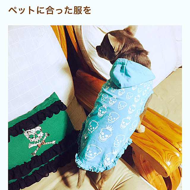 shippoさんの実例写真