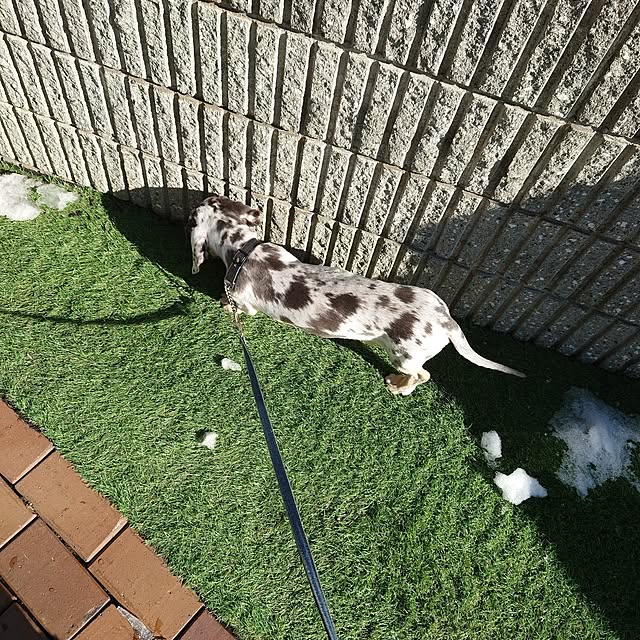 mayumiさんの部屋