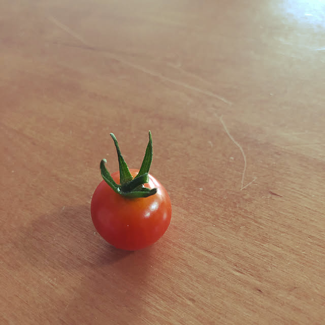 Taroさんの実例写真