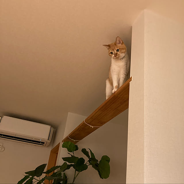 chakuron.iさんの実例写真