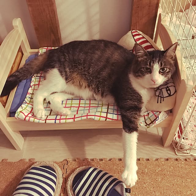 miruさんの実例写真