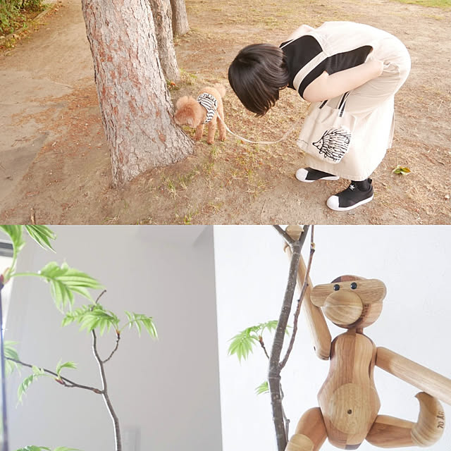 実例写真