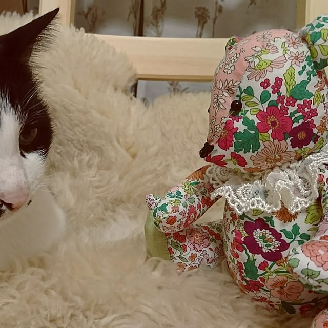 Mooさんの実例写真