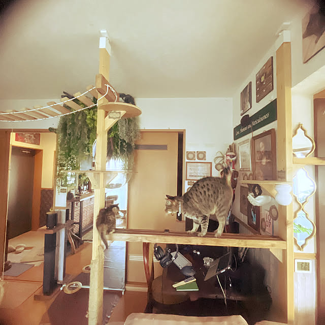 Mさんの部屋