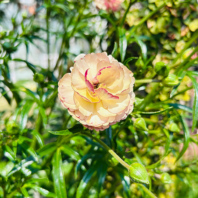 sunabaさんの部屋