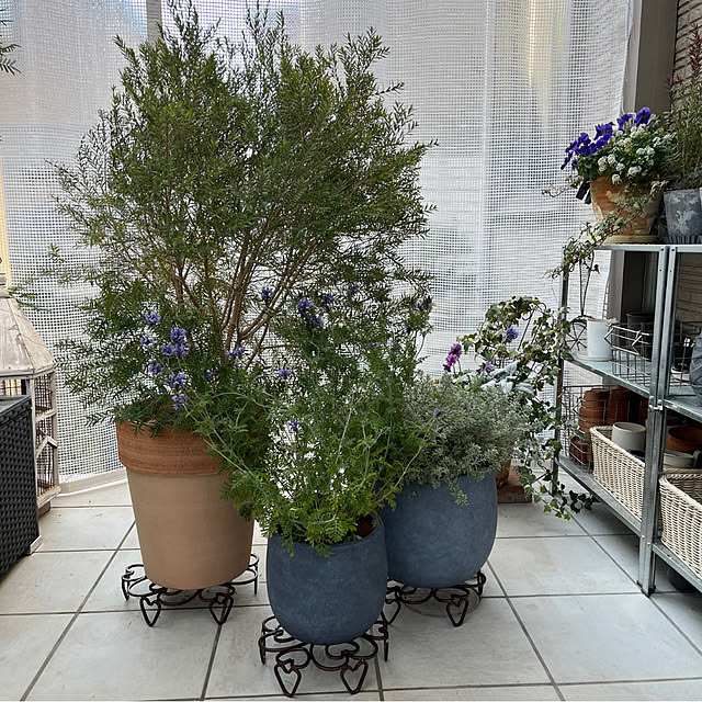 felicityさんの実例写真