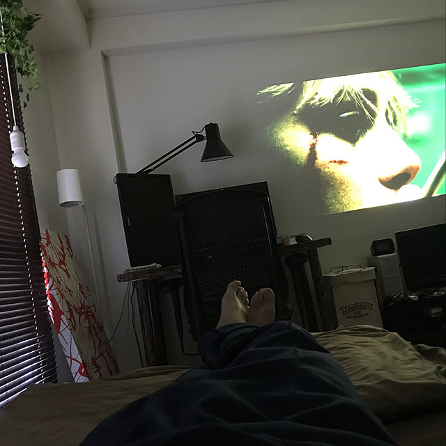 fleckerさんの実例写真