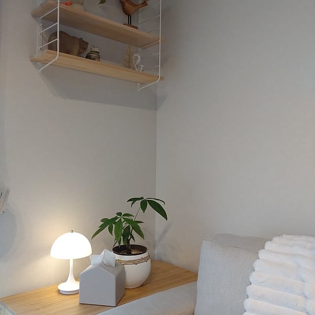 tan5さんの実例写真