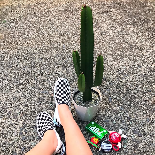 Chihiroさんの実例写真