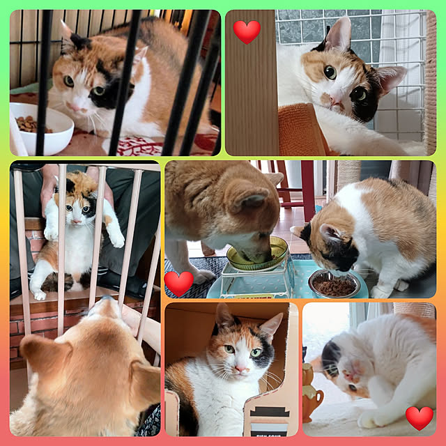 nanaさんの実例写真
