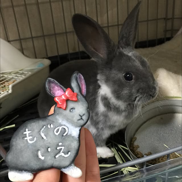 T.hinaさんの実例写真