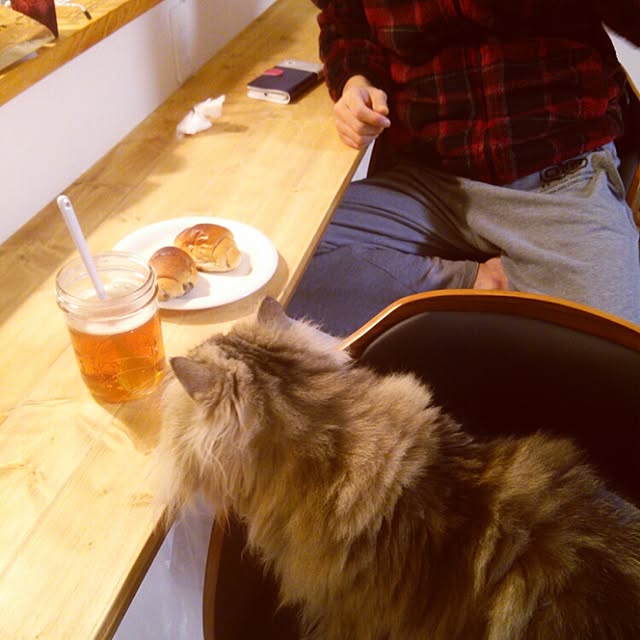 tokoさんの実例写真