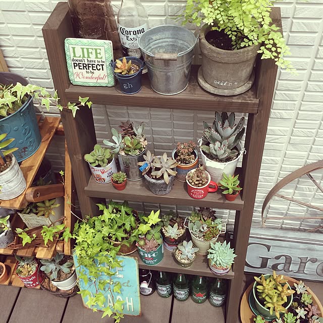 shioさんの実例写真
