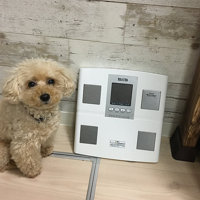 akko1205さんの実例写真