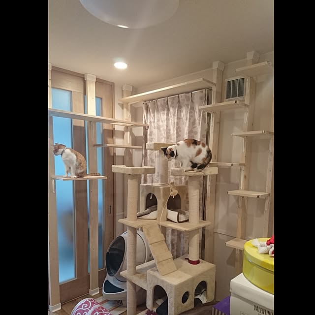 kojiro10101さんの実例写真