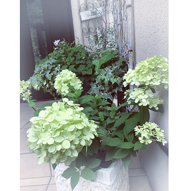 soraさんの実例写真