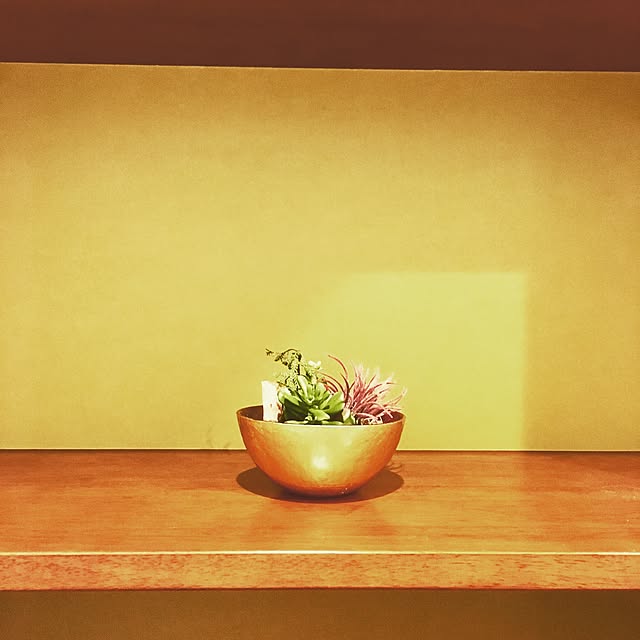 棚/ZARA HOME/グリーンフィンガーズ/フェイクグリーンのインテリア実例 - 2016-10-16 16:01:43