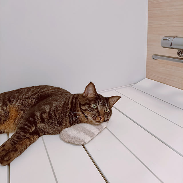 hihaさんの実例写真