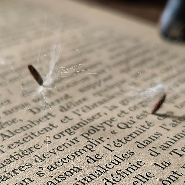 koyutan-mjmさんの部屋