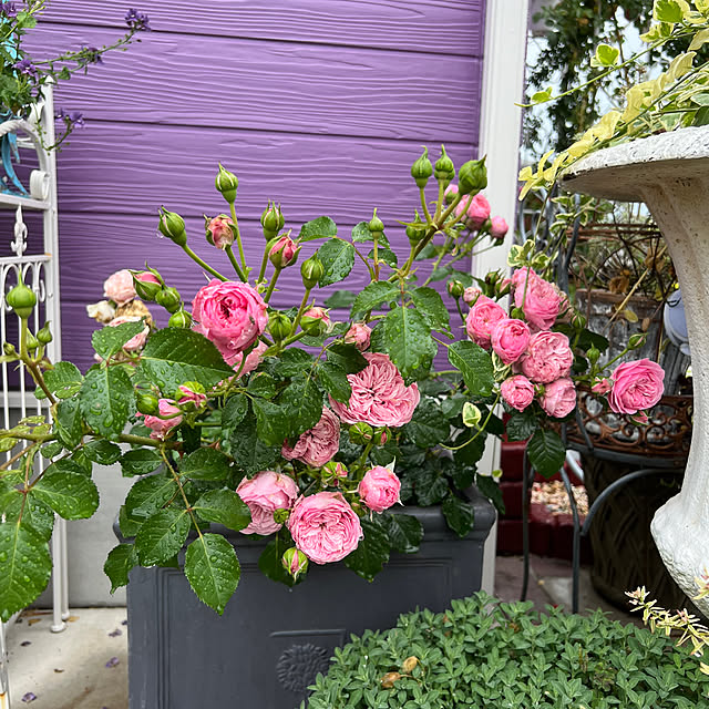 AYUKOさんの実例写真