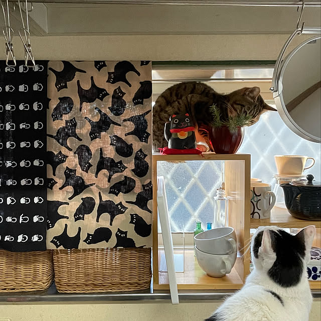nobikoさんの実例写真