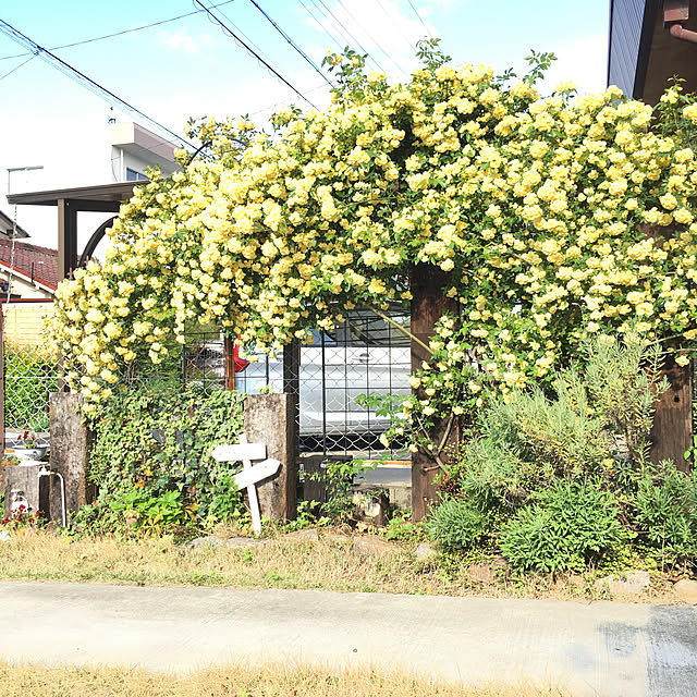 mami3さんの実例写真